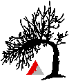 Logo der Bestatungsunternehmen Axtmann